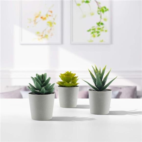 Artificial Succulents Set of 3 Mini Realistic Fake Plants with Plastic Pots - Picture 4 of 7